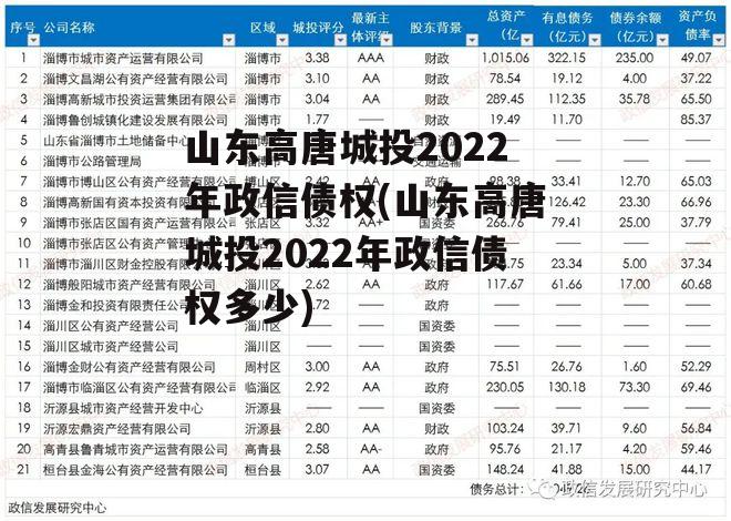 山东高唐城投2022年政信债权(山东高唐城投2022年政信债权多少)