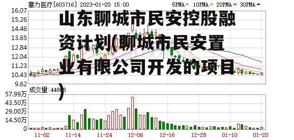 山东聊城市民安控股融资计划(聊城市民安置业有限公司开发的项目)