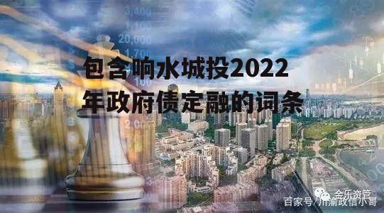 包含响水城投2022年政府债定融的词条