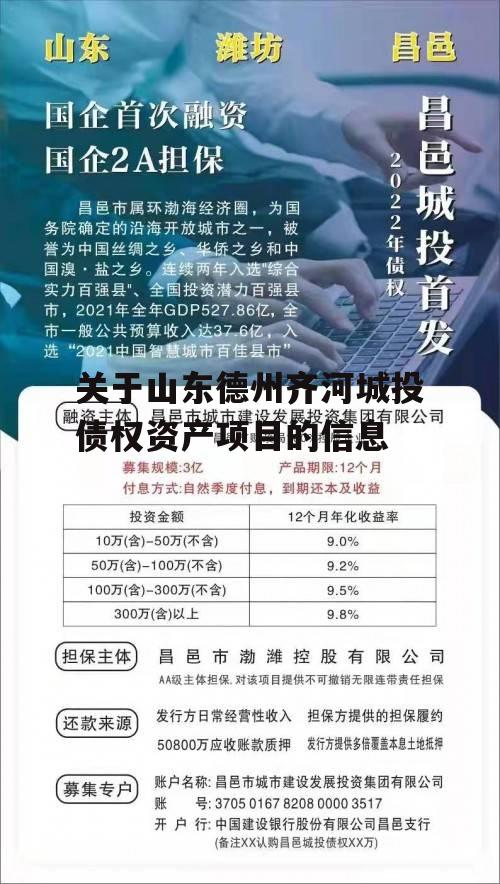 关于山东德州齐河城投债权资产项目的信息