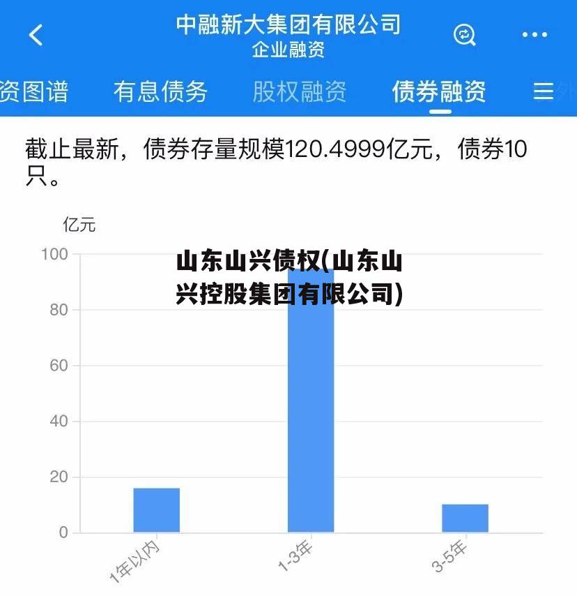 山东山兴债权(山东山兴控股集团有限公司)