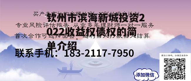 钦州市滨海新城投资2022收益权债权的简单介绍