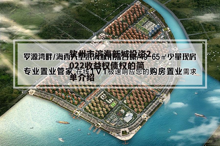 钦州市滨海新城投资2022收益权债权的简单介绍