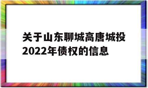 关于山东聊城高唐城投2022年债权的信息