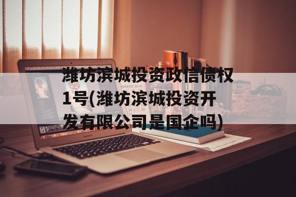 潍坊滨城投资政信债权1号(潍坊滨城投资开发有限公司是国企吗)