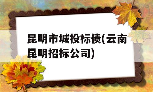 昆明市城投标债(云南昆明招标公司)