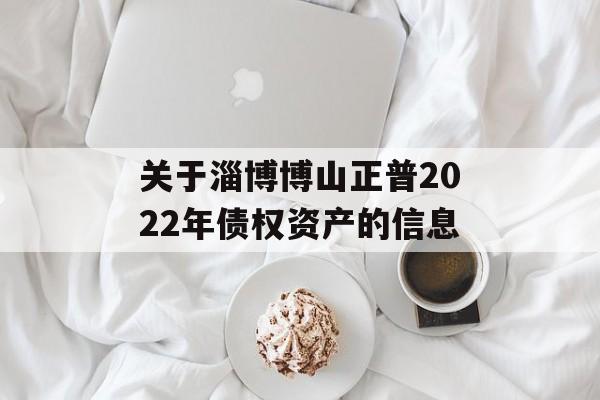 关于淄博博山正普2022年债权资产的信息