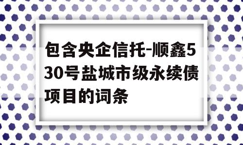 包含央企信托-顺鑫530号盐城市级永续债项目的词条