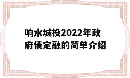 响水城投2022年政府债定融的简单介绍