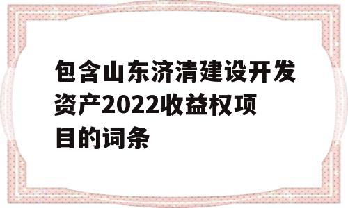 包含山东济清建设开发资产2022收益权项目的词条