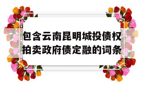 包含云南昆明城投债权拍卖政府债定融的词条