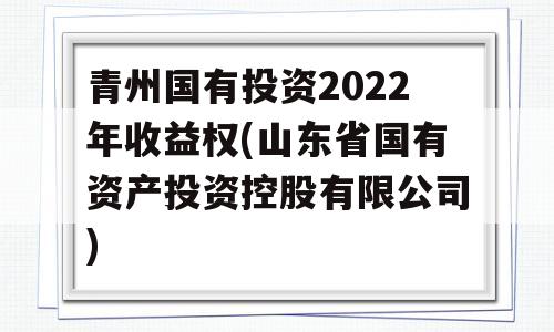 青州国有投资2022年收益权(山东省国有资产投资控股有限公司)