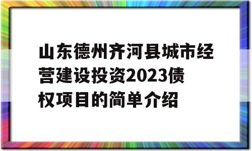 山东德州齐河县城市经营建设投资2023债权项目的简单介绍