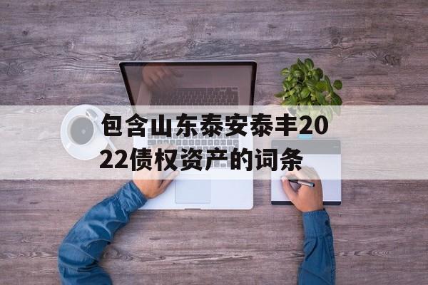 包含山东泰安泰丰2022债权资产的词条