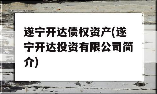 遂宁开达债权资产(遂宁开达投资有限公司简介)