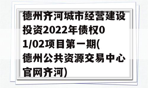 德州齐河城市经营建设投资2022年债权01/02项目第一期(德州公共资源交易中心官网齐河)