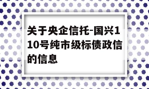 关于央企信托-国兴110号纯市级标债政信的信息