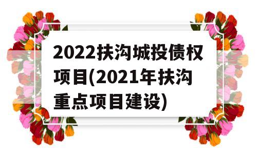 2022扶沟城投债权项目(2021年扶沟重点项目建设)