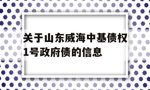 关于山东威海中基债权1号政府债的信息