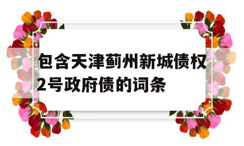 包含天津蓟州新城债权2号政府债的词条