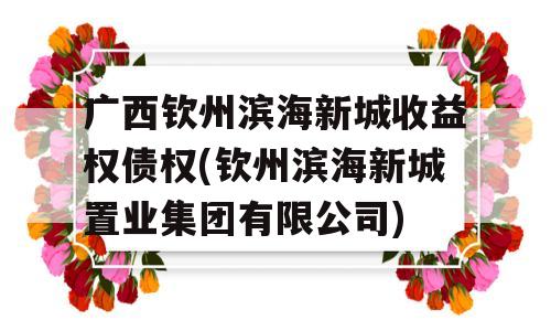 广西钦州滨海新城收益权债权(钦州滨海新城置业集团有限公司)