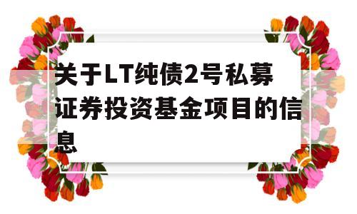 关于LT纯债2号私募证券投资基金项目的信息