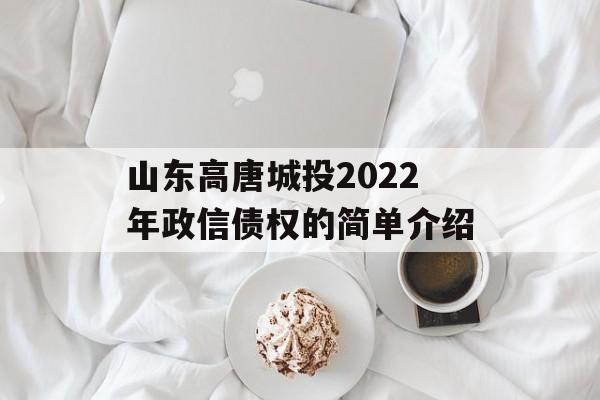 山东高唐城投2022年政信债权的简单介绍