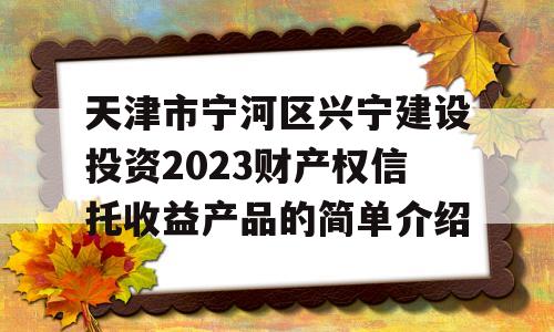 天津市宁河区兴宁建设投资2023财产权信托收益产品的简单介绍