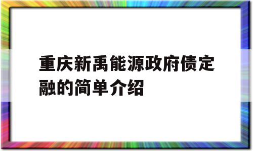 重庆新禹能源政府债定融的简单介绍