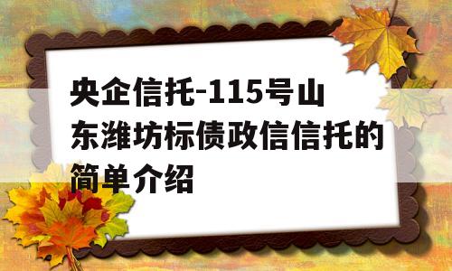 央企信托-115号山东潍坊标债政信信托的简单介绍