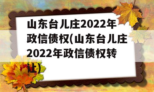 山东台儿庄2022年政信债权(山东台儿庄2022年政信债权转让)