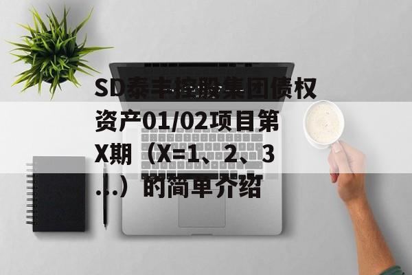 SD泰丰控股集团债权资产01/02项目第X期（X=1、2、3...）的简单介绍