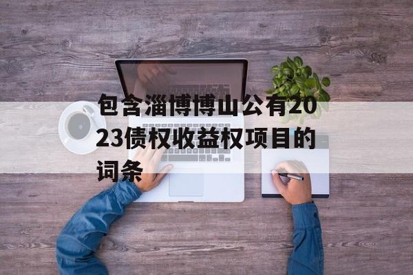 包含淄博博山公有2023债权收益权项目的词条