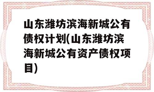 山东潍坊滨海新城公有债权计划(山东潍坊滨海新城公有资产债权项目)