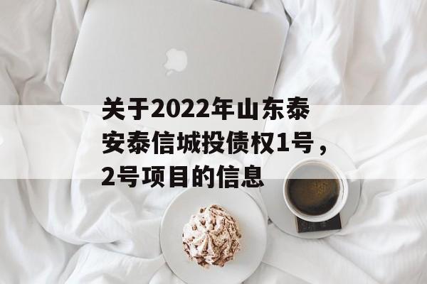 关于2022年山东泰安泰信城投债权1号，2号项目的信息