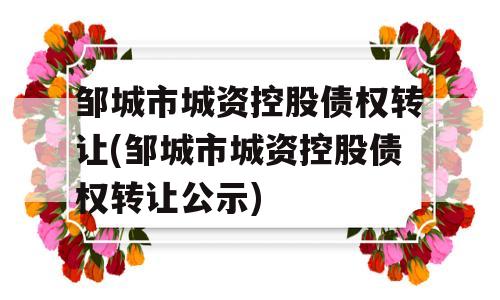 邹城市城资控股债权转让(邹城市城资控股债权转让公示)