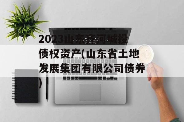 2023山东齐河城投债权资产(山东省土地发展集团有限公司债券)