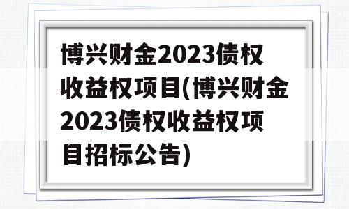 博兴财金2023债权收益权项目(博兴财金2023债权收益权项目招标公告)