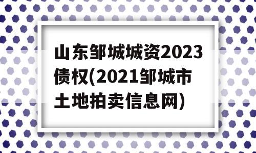 山东邹城城资2023债权(2021邹城市土地拍卖信息网)