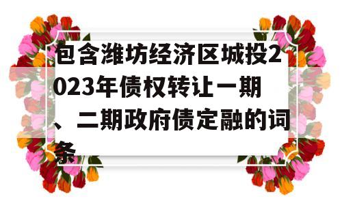 包含潍坊经济区城投2023年债权转让一期、二期政府债定融的词条