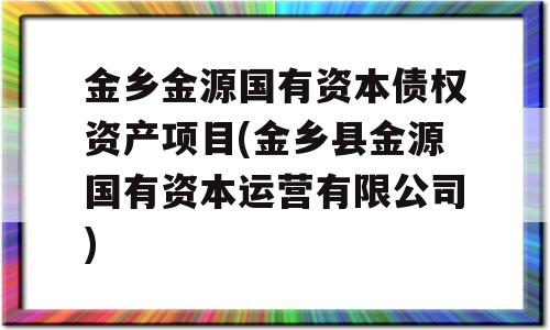 金乡金源国有资本债权资产项目(金乡县金源国有资本运营有限公司)