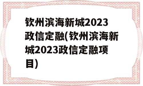 钦州滨海新城2023政信定融(钦州滨海新城2023政信定融项目)