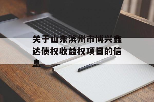 关于山东滨州市博兴鑫达债权收益权项目的信息