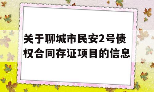 关于聊城市民安2号债权合同存证项目的信息