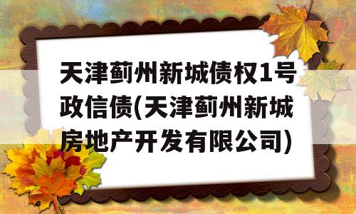 天津蓟州新城债权1号政信债(天津蓟州新城房地产开发有限公司)