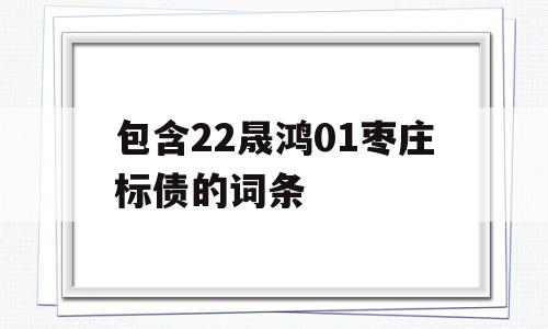 包含22晟鸿01枣庄标债的词条