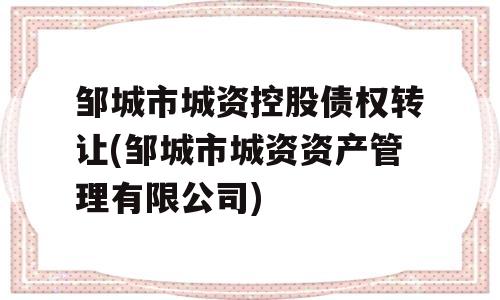 邹城市城资控股债权转让(邹城市城资资产管理有限公司)