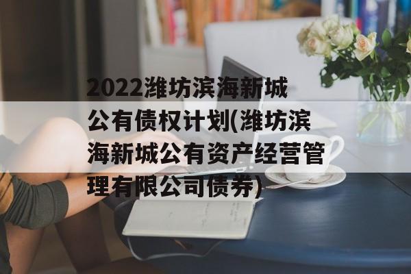 2022潍坊滨海新城公有债权计划(潍坊滨海新城公有资产经营管理有限公司债券)