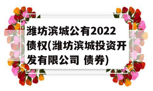 潍坊滨城公有2022债权(潍坊滨城投资开发有限公司 债券)