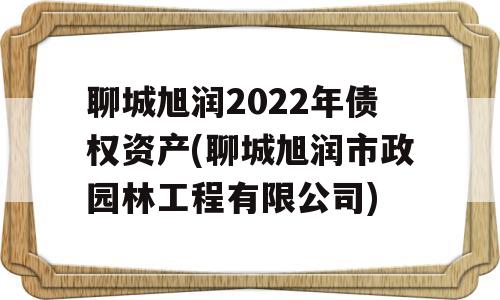 聊城旭润2022年债权资产(聊城旭润市政园林工程有限公司)